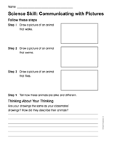 Science Skill: Communicating with Pictures