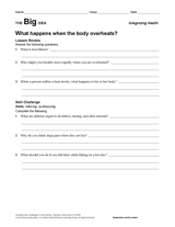 What Happens When the Body Overheats?